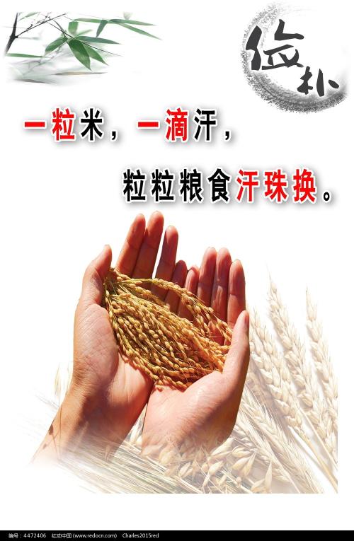 新潟大学 Art diploma